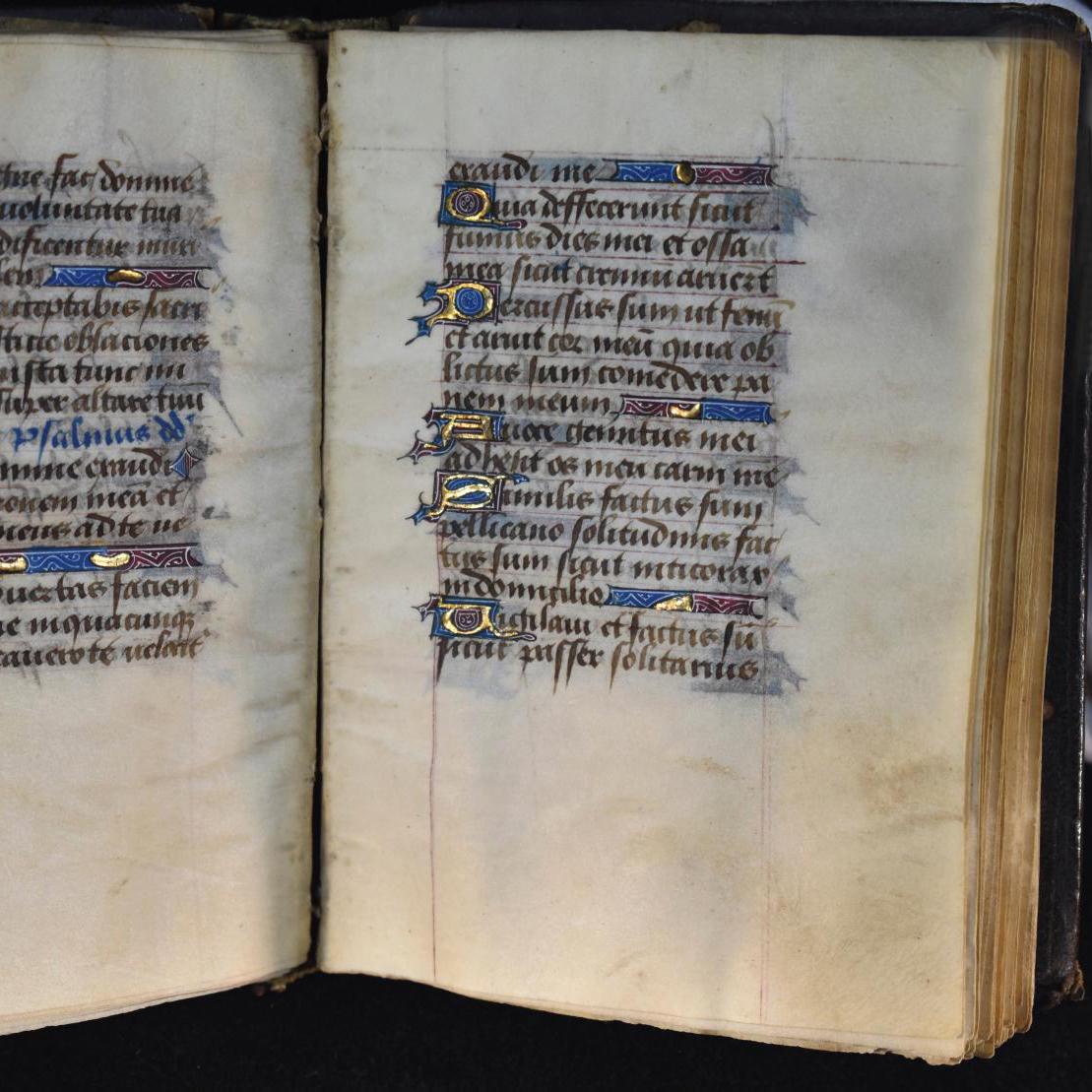 The Final Glory of Illuminated Manuscripts