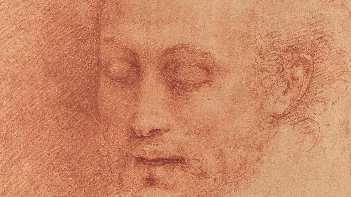 Cesare da Sesto (1477-1523) Tête de saint Jean-Baptiste, entre 1510 et 1520, sanguine... En tête-à-tête avec le salon du dessin